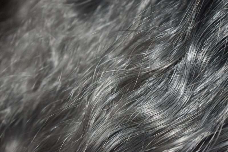 Perché i capelli grigi potrebbero proteggere dal cancro