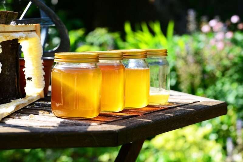 Mangiare miele ogni giorno: i 5 benefici per corpo e mente