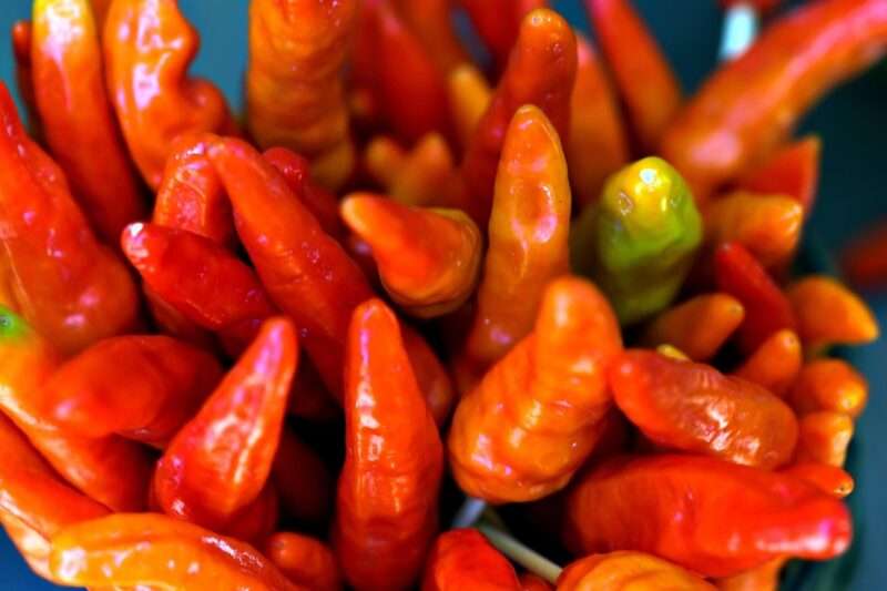 Troppo piccante? I ricercatori scoprono il peperoncino che attenua il fuoco in bocca