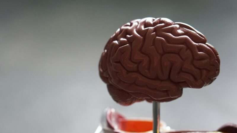 Il cervello “cade” nel sonno in soli 4 minuti: la scoperta rivoluzionaria