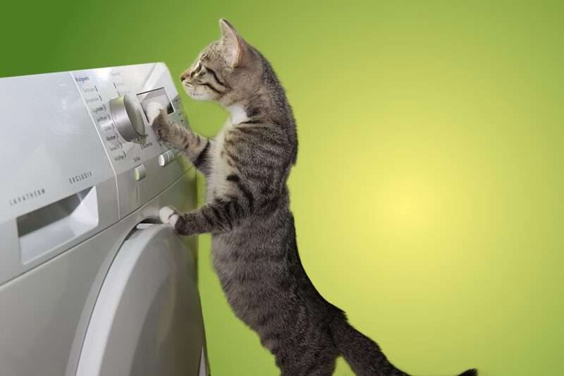 Mirai Human Washing Machine: la lavatrice per persone dal Giappone