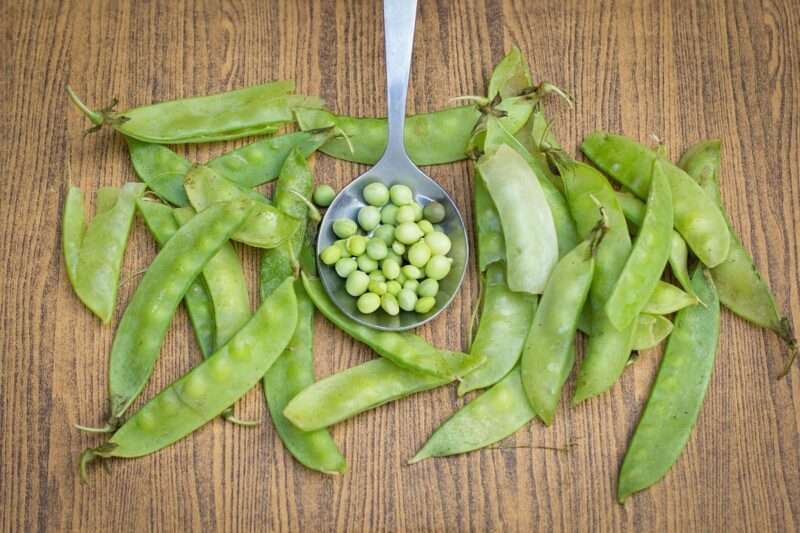 Piselli secchi: il legume sottovalutato che sta tornando protagonista nelle diete moderne