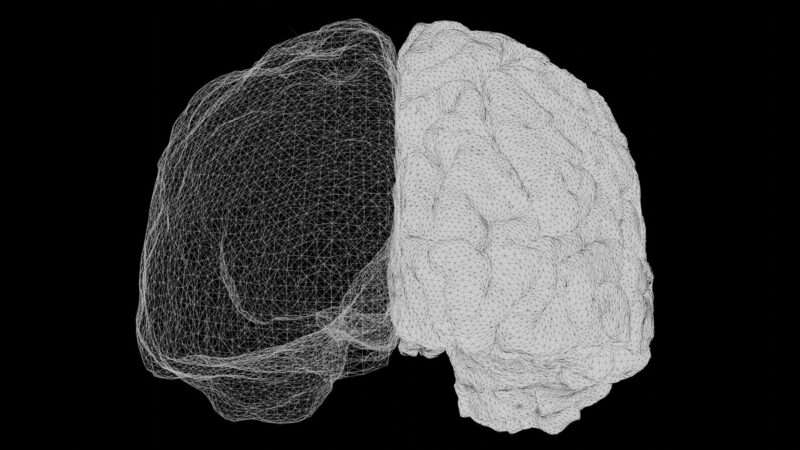 Scoperto nel cervello un interruttore del dolore: svolta medica