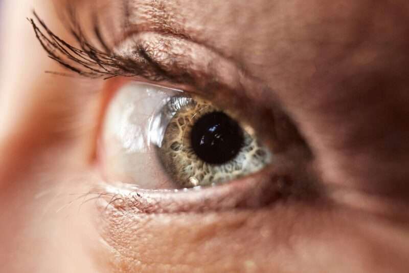 Sbattere le palpebre e attenzione: cosa rivela davvero il cervello