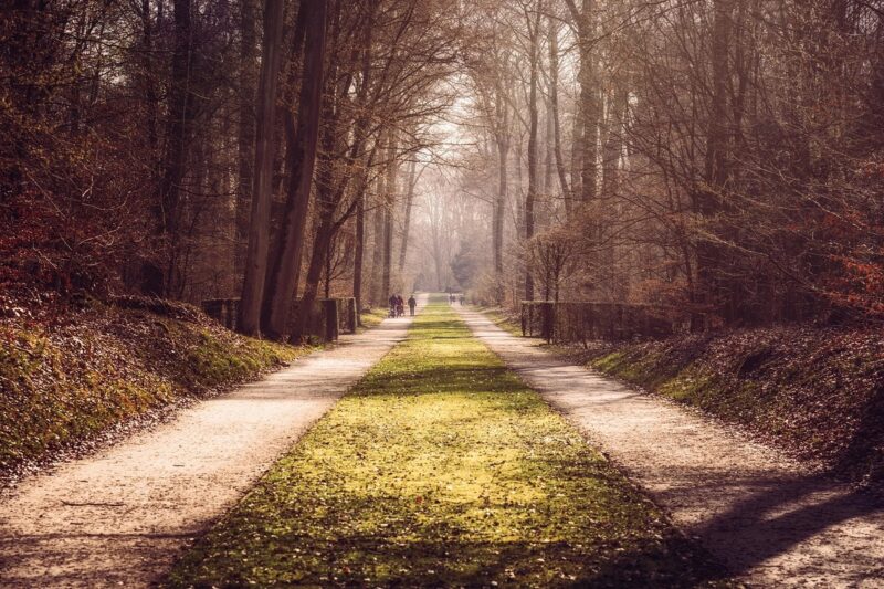Camminare meglio per vivere più a lungo: conta la durata delle passeggiate