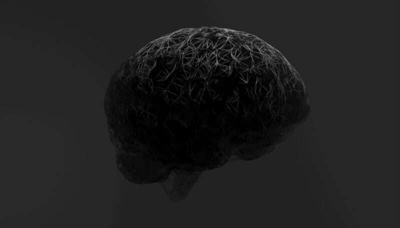 Perché il cervello consuma meno energia davanti alla bellezza