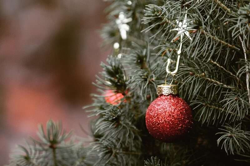 Albero di Natale: perché secondo la tradizione andrebbe smontato il 2 febbraio