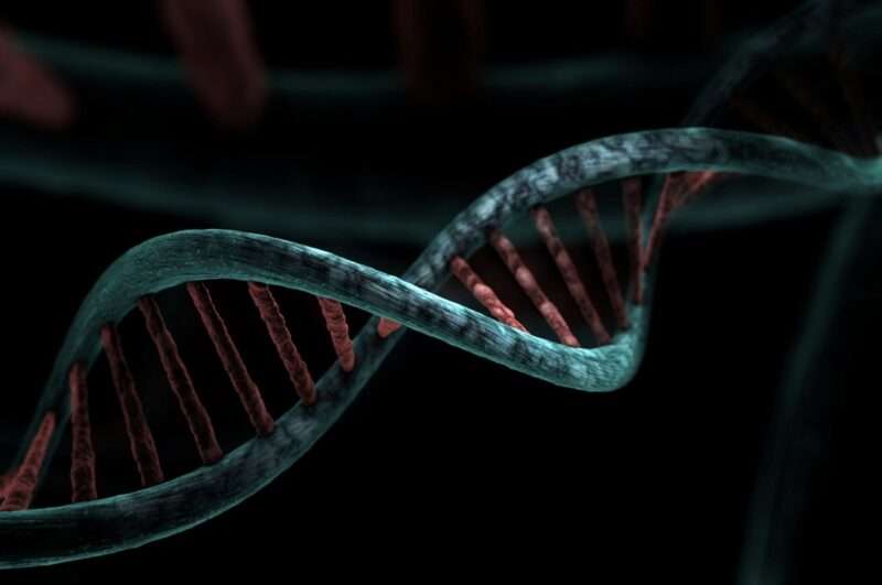 Viviamo con cellule materne nel corpo: cosa rivela la scienza