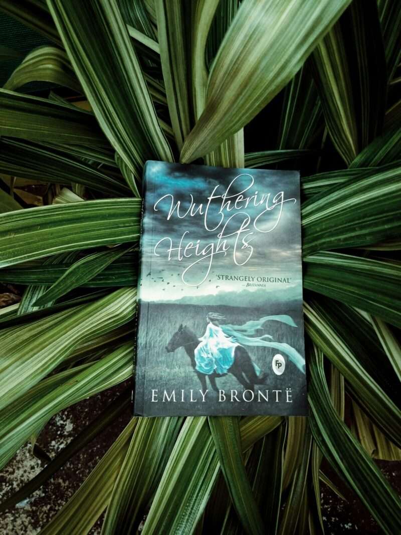 Gen Z e Cime Tempestose: perché Emily Brontë non è un fallimento