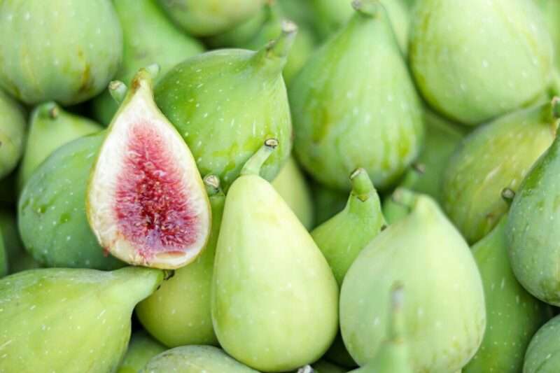Lassativi a lungo termine: perché l’uso regolare può essere rischioso