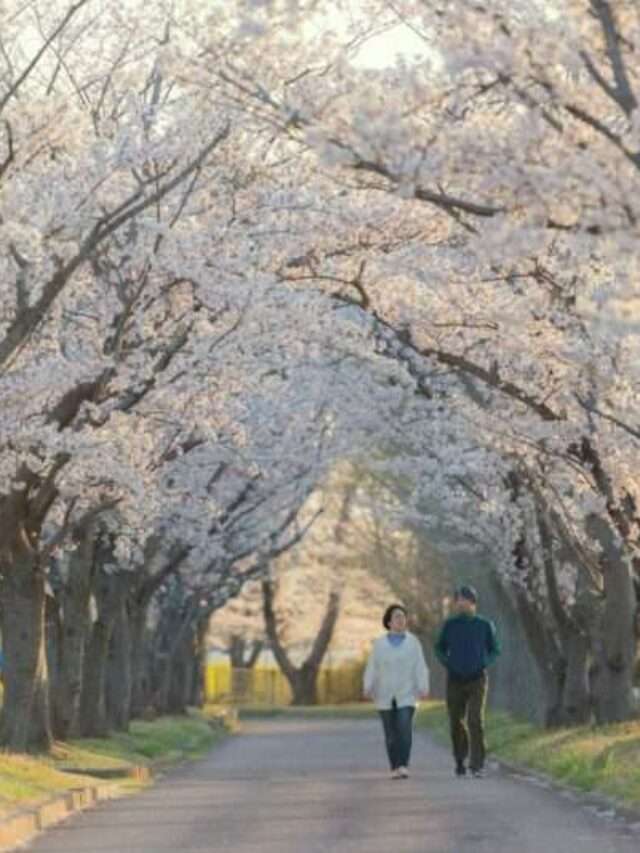 Quando arriva la primavera a… marzo 2026!