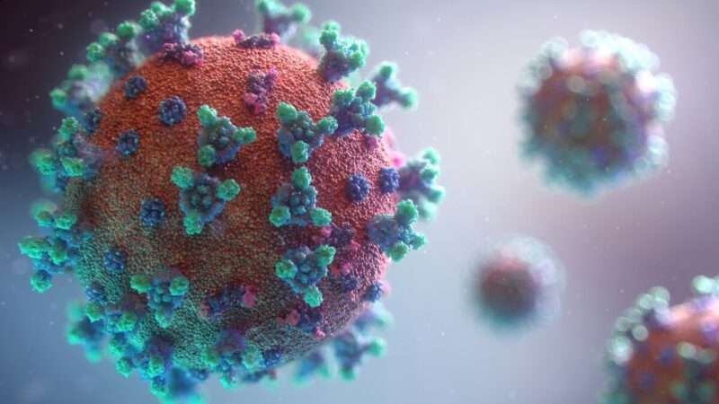 Ritorno del Morbillo negli USA: Perché il 2026 è l’Anno della Crisi Sanitaria
