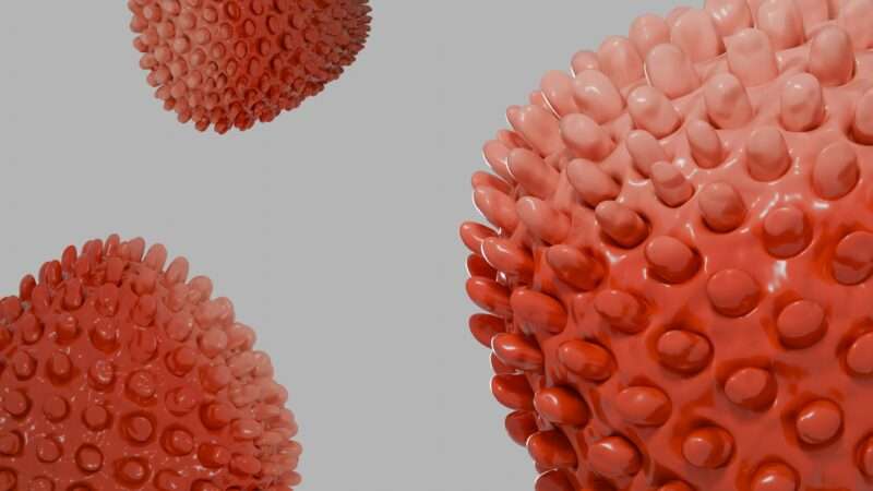 Herpes labiale: il lato nascosto di un virus che tutti sottovalutano