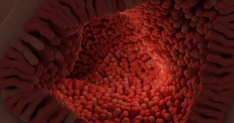 Parkinson e Intestino: La Svolta che Passa dai Batteri Buoni