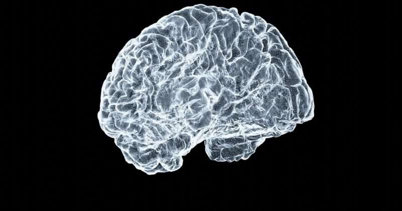 Parkinson e autismo: un collegamento spiegato