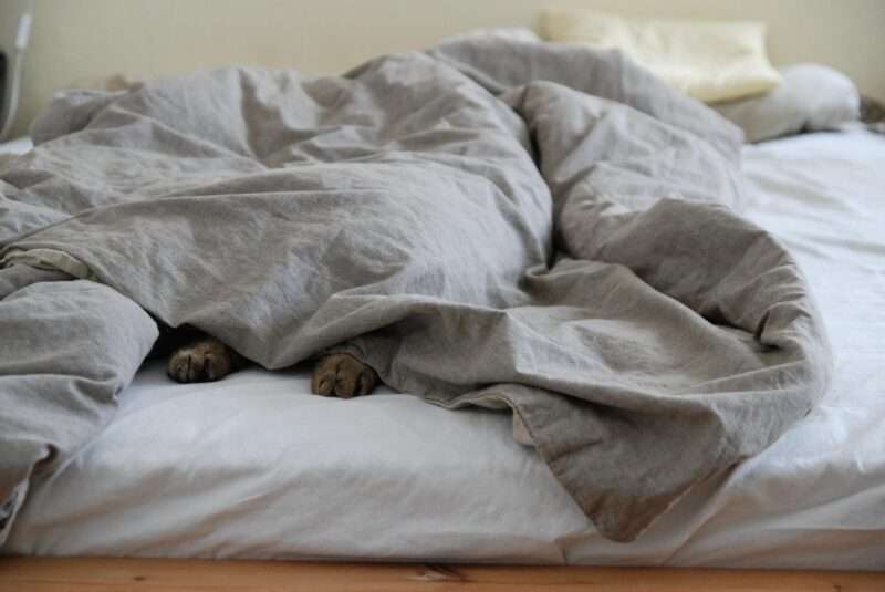 20 miti sul sonno che la scienza ha smentito