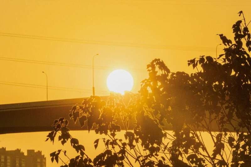 El Niño entro maggio: cosa aspettarsi per il clima dell’estate