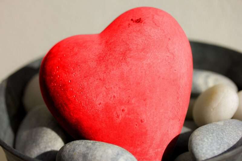 Perché il cancro al cuore è così raro: la scoperta
