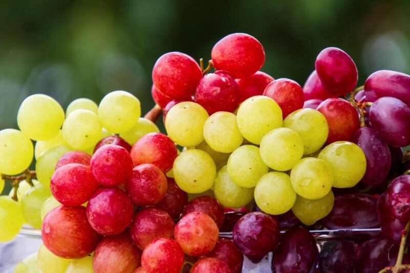 Uva lavata fresca per 2 settimane: il metodo naturale
