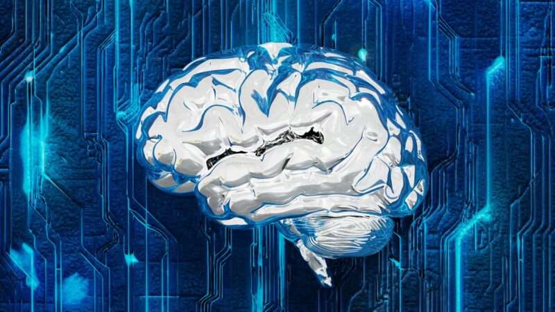 Il cervello non nasce vuoto: la nuova scoperta cambia tutto