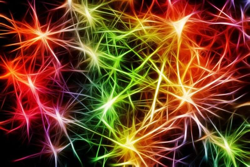 Nel cervello del neonato esiste davvero una “zona della sicurezza”? Cosa dice la scienza