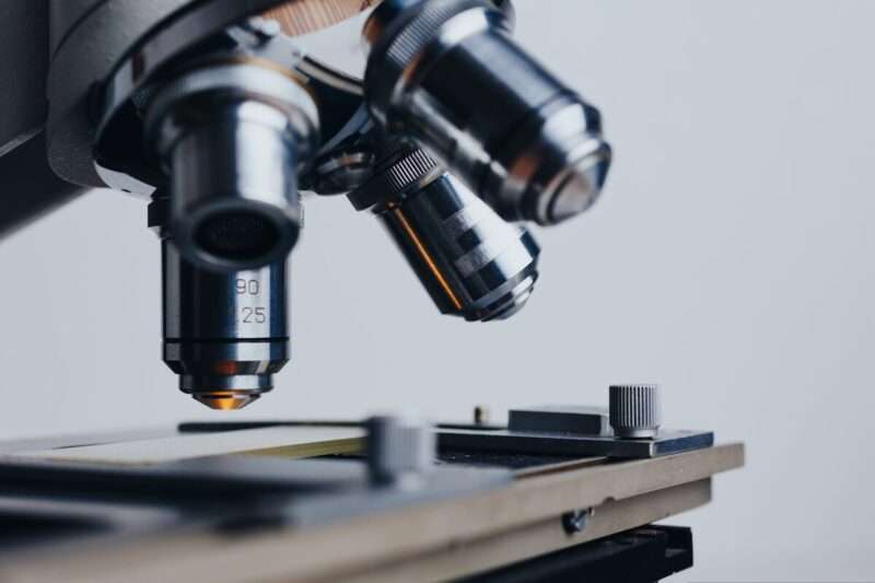 Diabete di tipo 1: le cellule staminali riaccendono la speranza per una cura definitiva