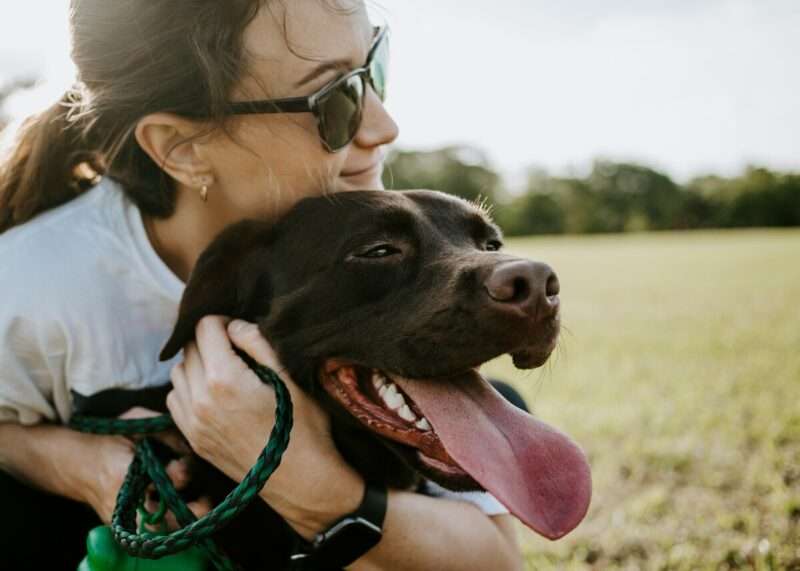 Psicologia del binomio: Perché il comportamento del tuo cane parla di te