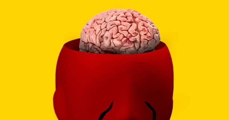 Alzheimer: ecco perché colpisce più le donne