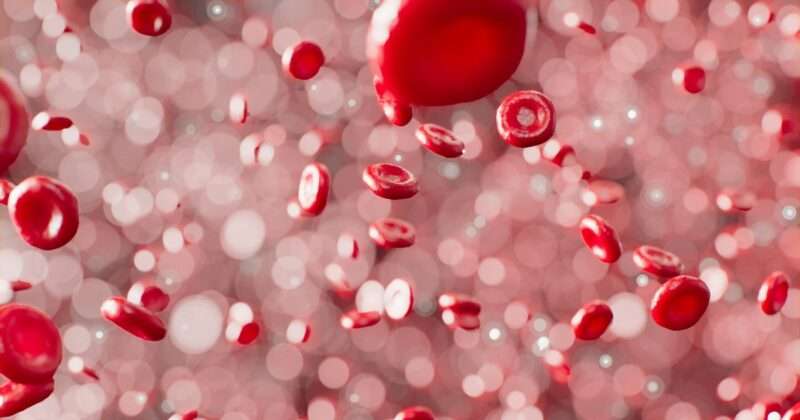 Stress: gli effetti che ha sul nostro sangue