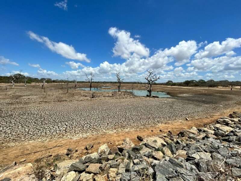 Prossimo El Niño da record: sarà il più forte mai registrato