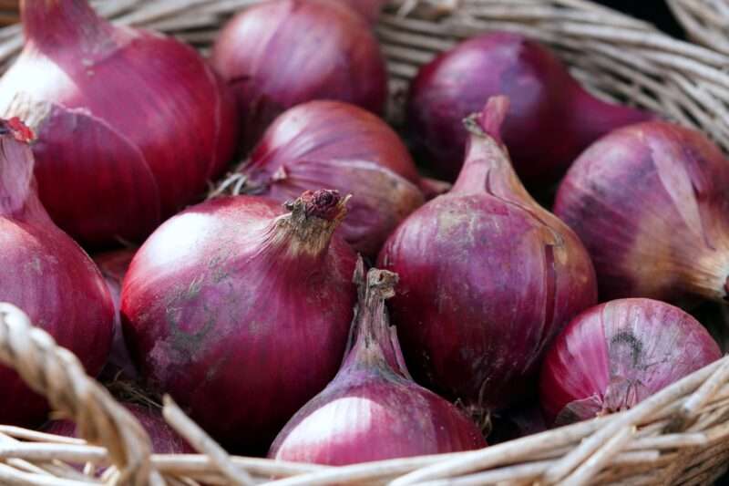 Ti piacciono le cipolle? La genetica potrebbe spiegare perché