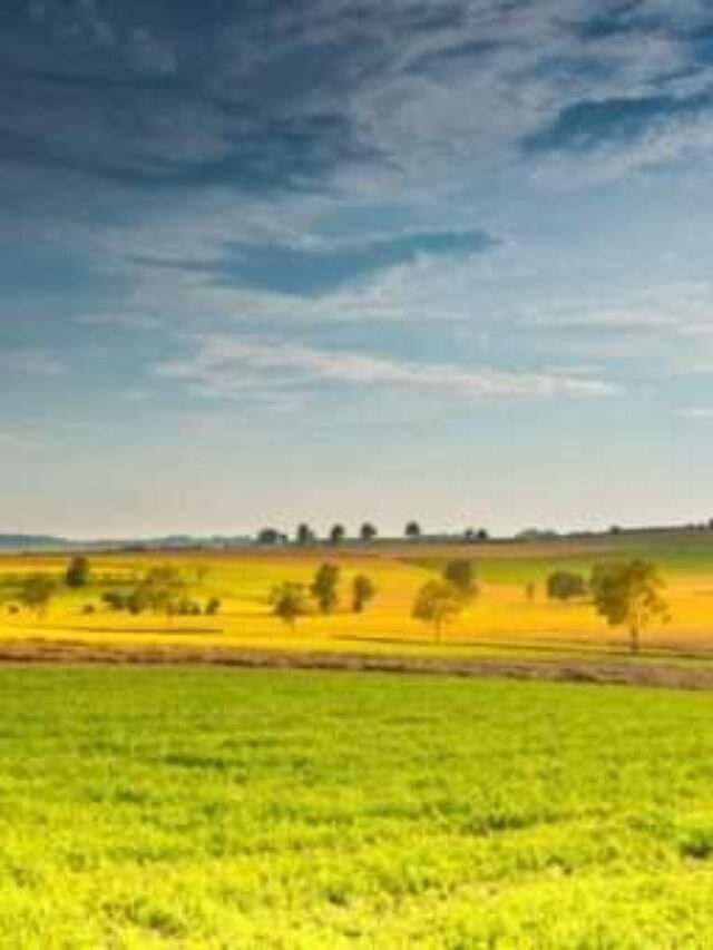 Giugno… estate e caldo… sotto l’ombrellone!