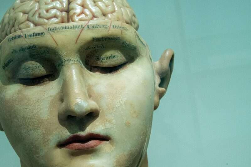 Abitudini: scoperta la sostanza cerebrale per spegnere i vizi