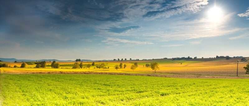 Estati sempre più calde: perché il caldo di oggi non è come quello di una volta