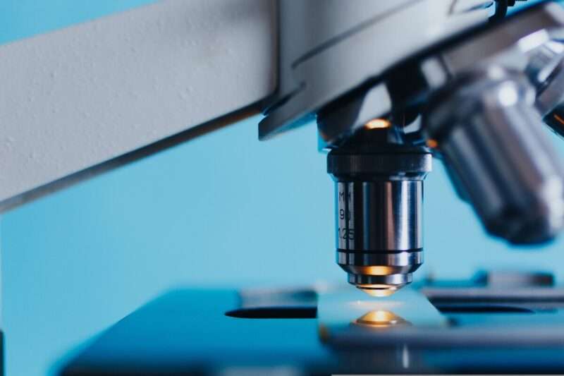 Peptidi antimicrobici, la nuova frontiera contro i superbatteri: cosa dice la ricerca