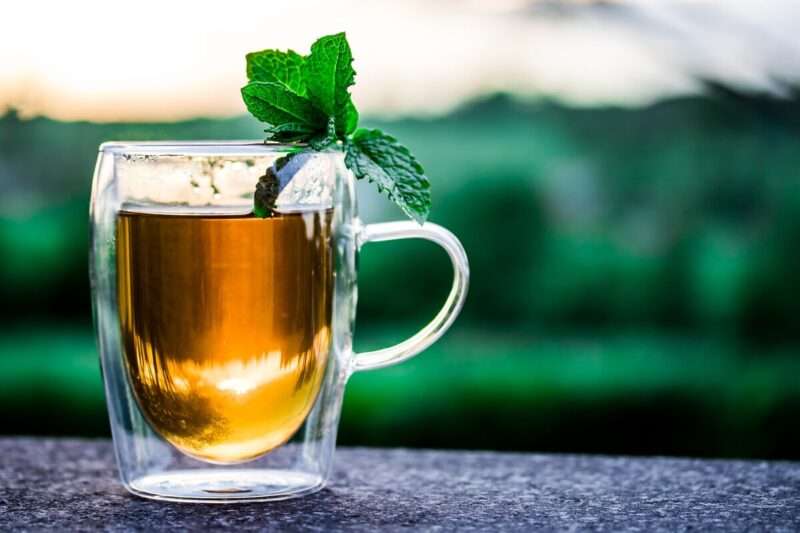 I segreti del tè: come nasce una tazza perfetta tra scienza e natura
