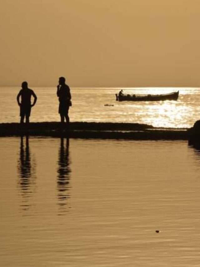 Quello che il caldo luglio ci ha portato