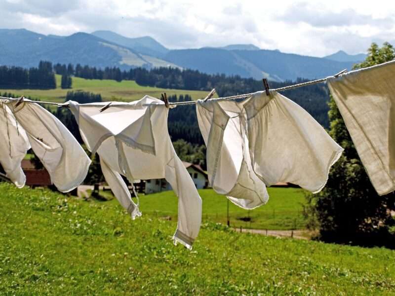 Vestiti fatti di funghi vivi: il tessuto che si autoripara e si biodegrada