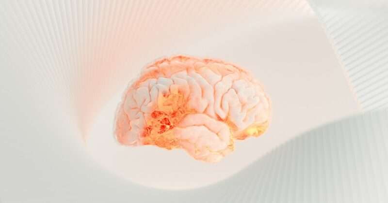 Alzheimer: alcuni elementi da tenere in considerazione