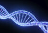Cancro, il DNA diventa un’arma per continuare a crescere: cosa ha scoperto lo studio cancro dna arma crescere