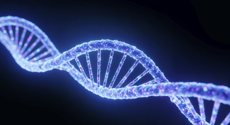 Cancro, il DNA diventa un’arma per continuare a crescere: cosa ha scoperto lo studio