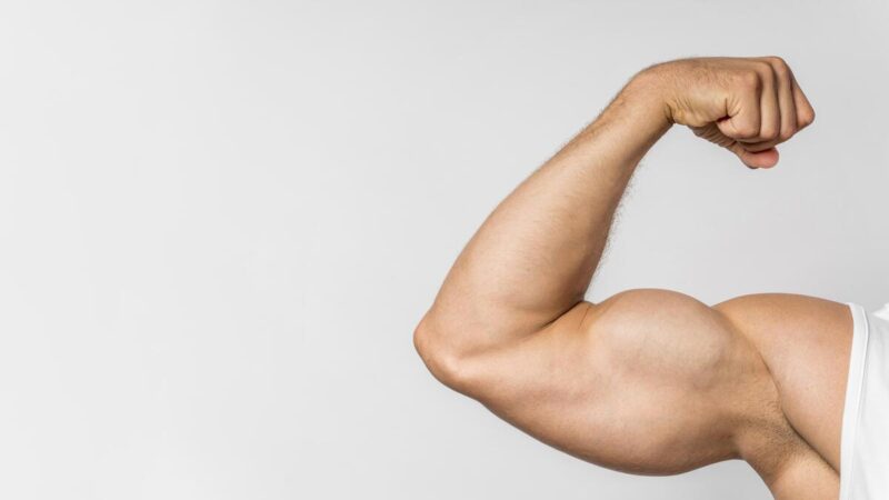 Perché i muscoli danneggiati si trasformano in grasso? La risposta è in una proteina