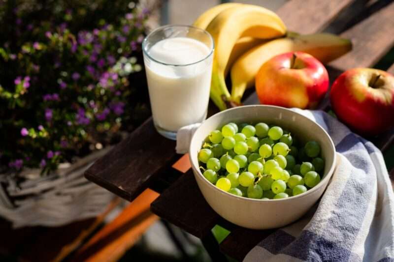 Diete vegane e vegetariane: aumentano il rischio di disturbi alimentari? Cosa dice davvero la scienza