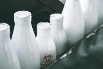 Latte e latticini senza mucche: la rivoluzione
