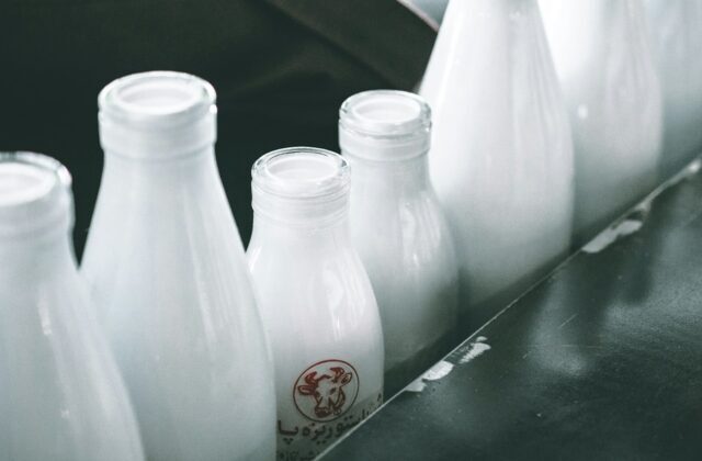 Latte e latticini senza mucche: la rivoluzione