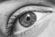 Mosche volanti negli occhi: cosa sono quei puntini che vedi guardando il cielo? mosche-volanti