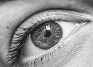 Mosche volanti negli occhi: cosa sono quei puntini che vedi guardando il cielo? mosche-volanti
