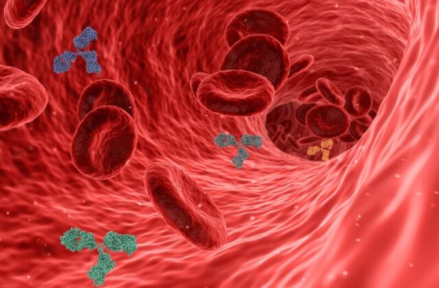 Arterie già a rischio a 23 anni: quasi 8 giovani su 10 mostrano segnali cardiovascolari da non ignorare