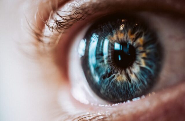 La retina può “imparare” di nuovo a vedere: così l’optogenetica riaccende le cellule sopravvissute alla cecità