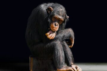 La noia che abbiamo dimenticato: perché ci fa bene